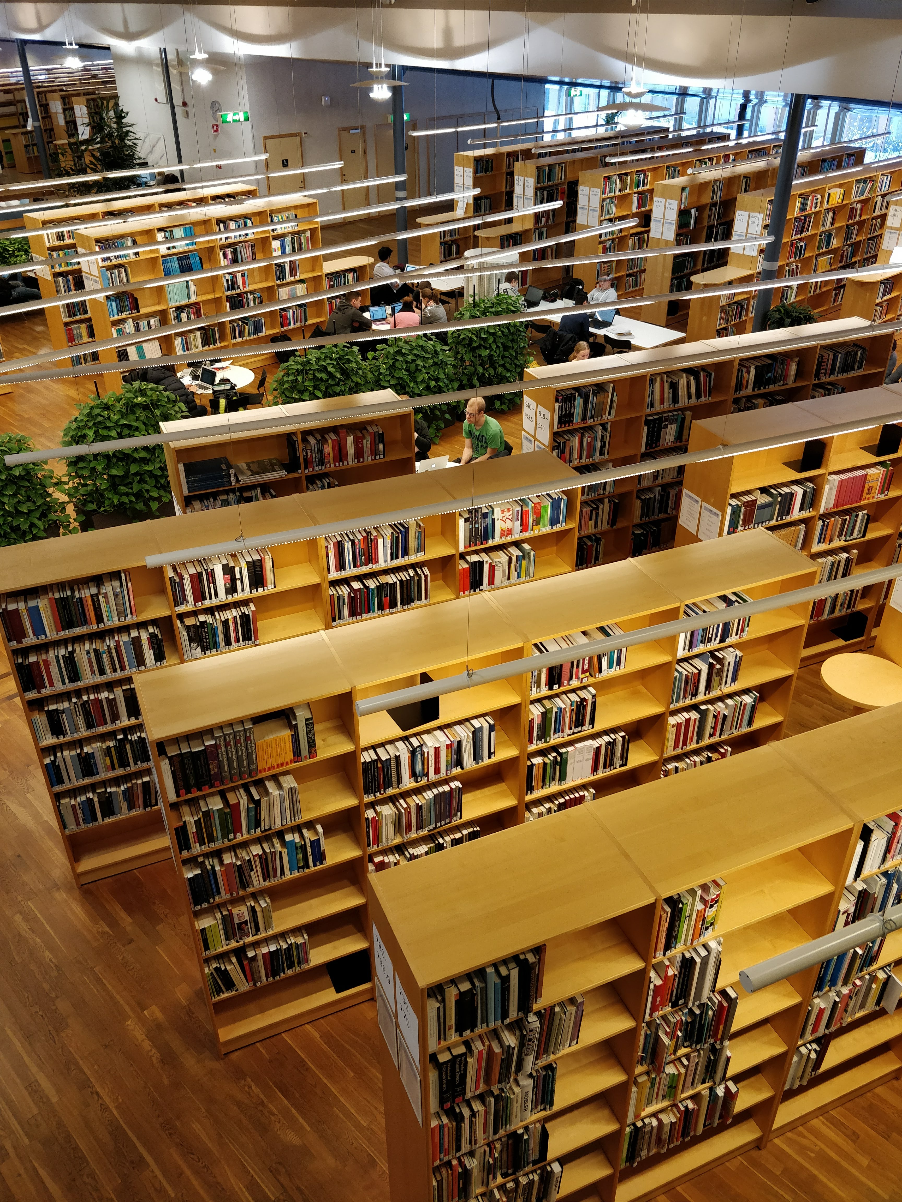 Library shelves. Photo.