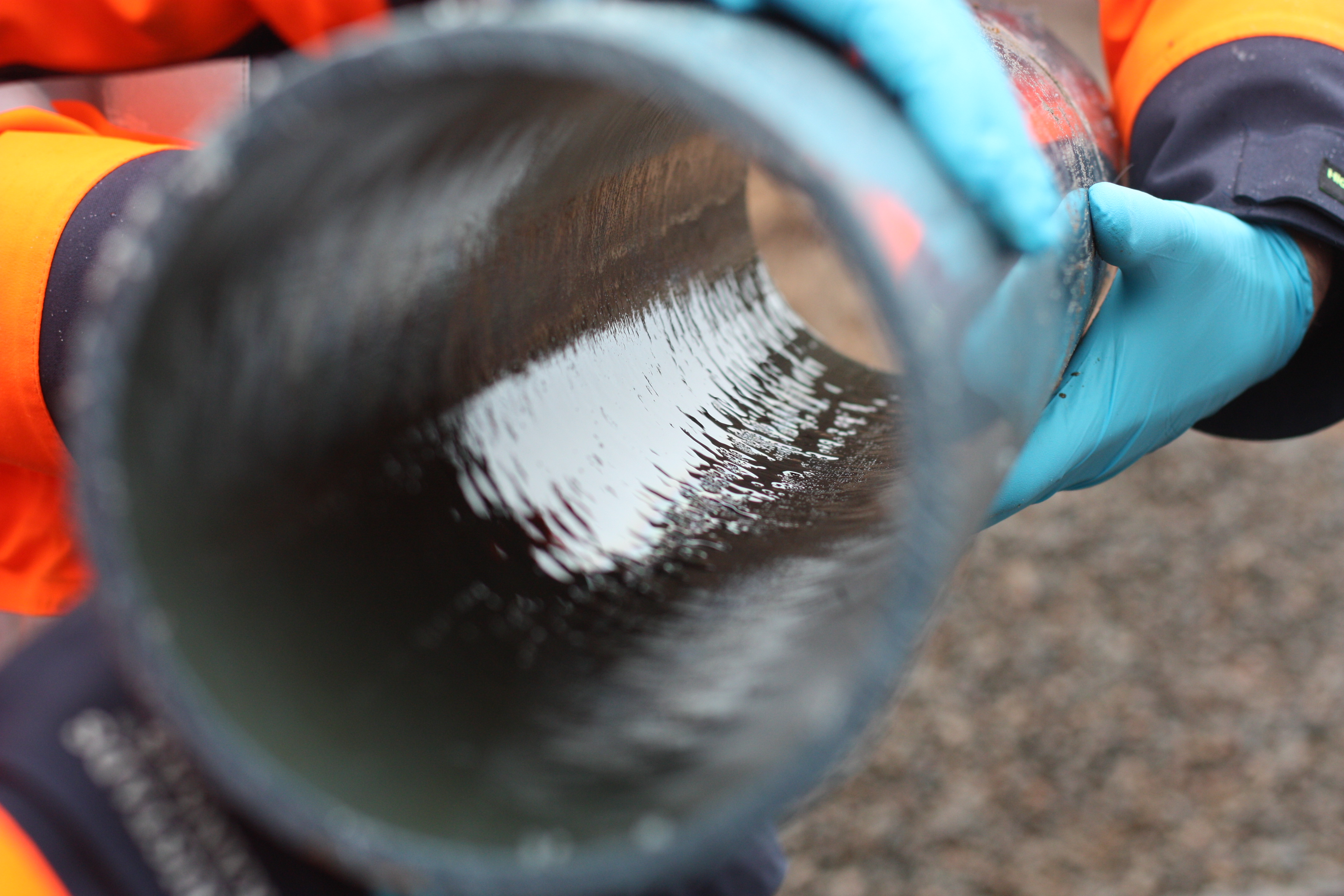 Biofilm in drinking water pipe. Photo.